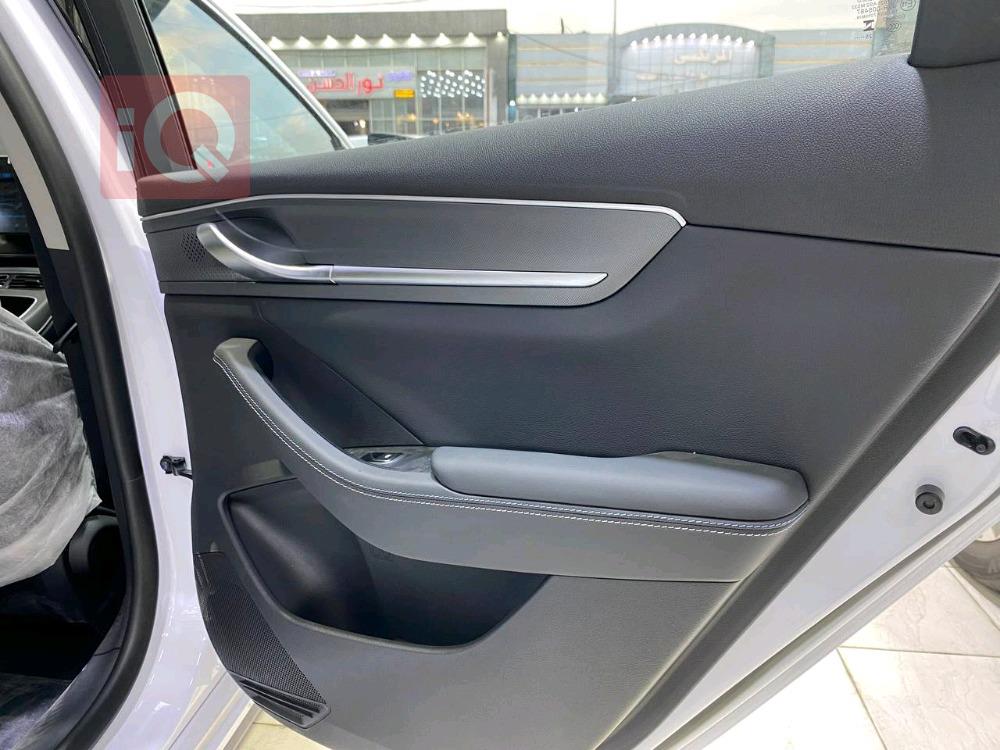 بی وای دی دیسترۆیەر 05